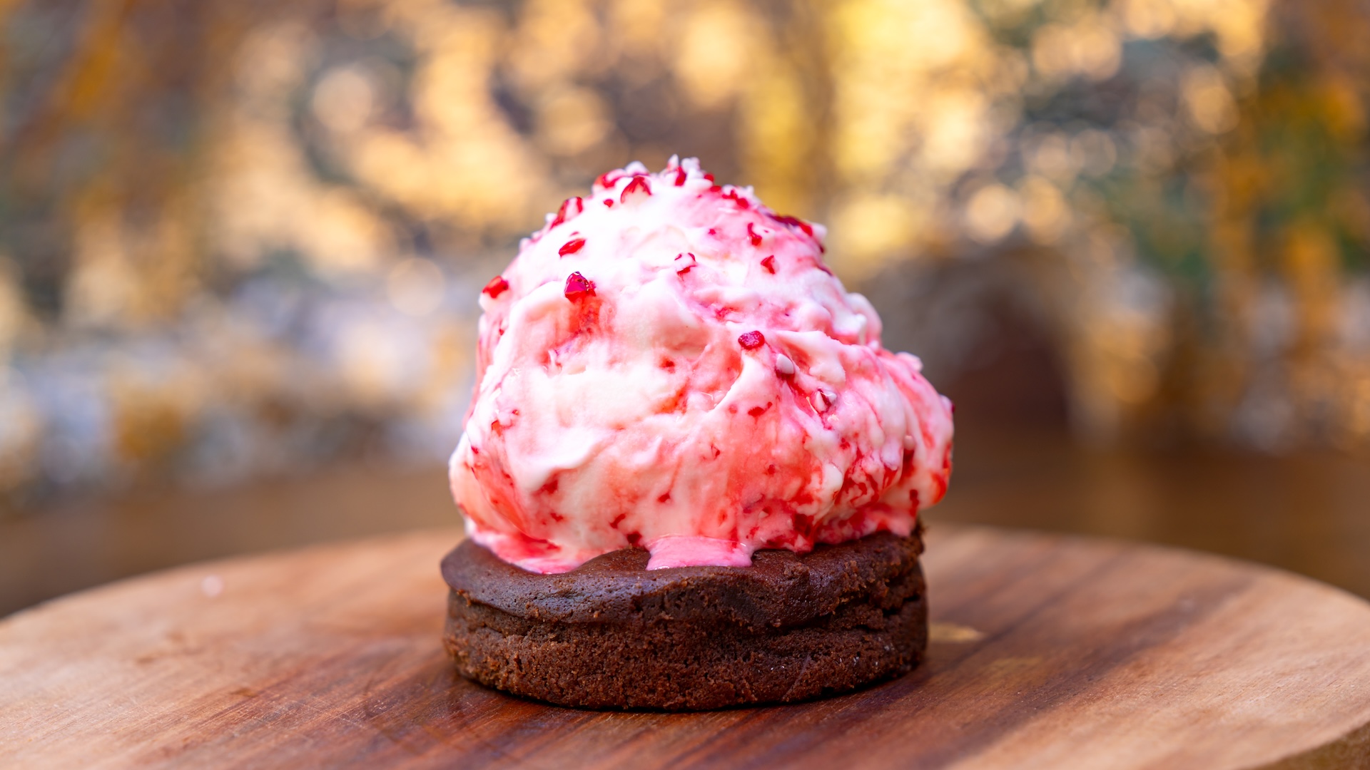 Festival of Holidays - Chocolate Peppermint Lava Cake