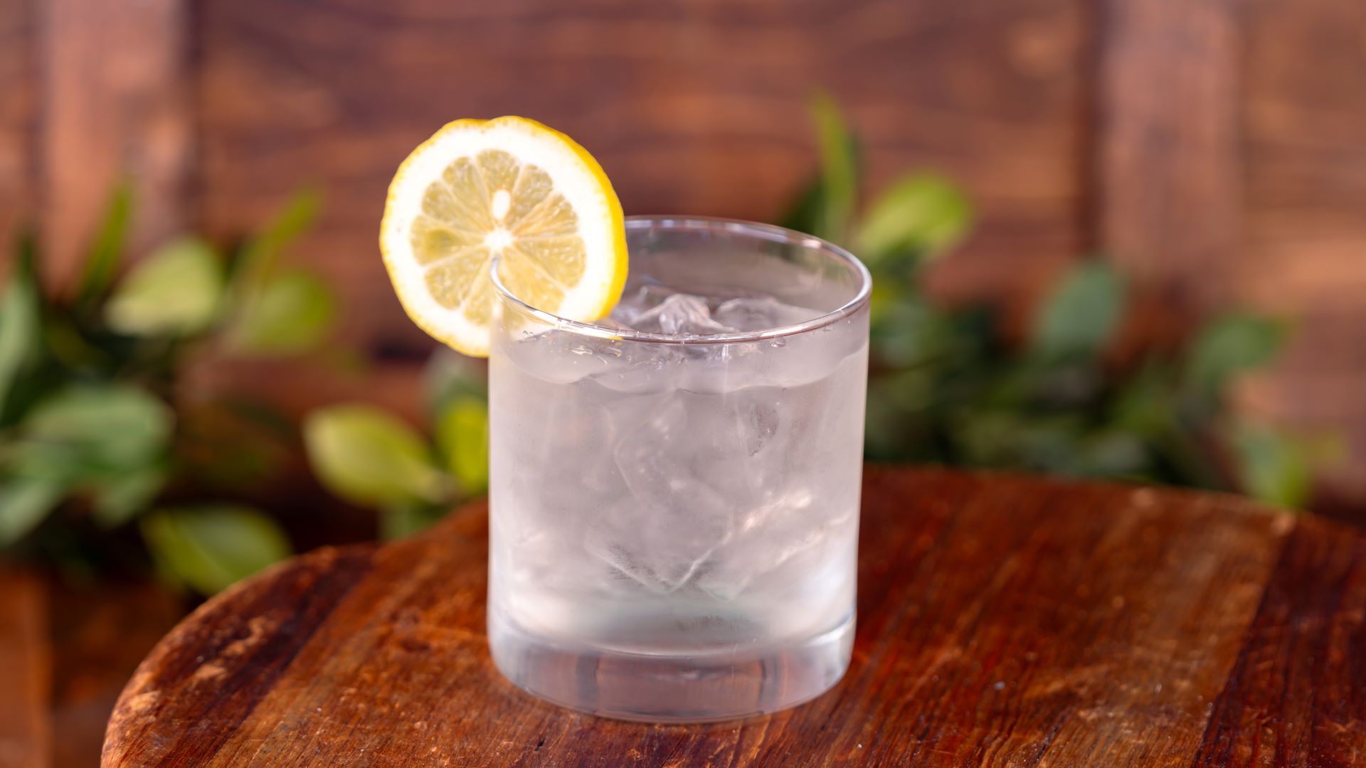 Bianco Negroni Wine Country Trattoria Disneyland