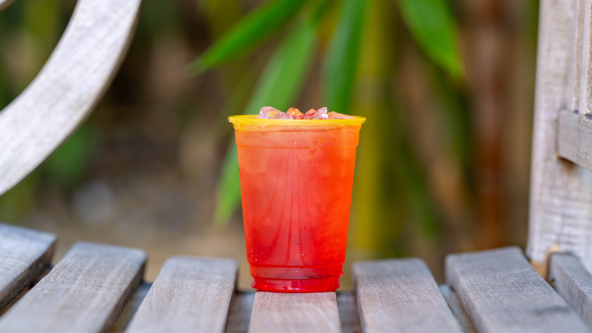 Lychee Soju Cocktail - Hollywood Lounge Disneyland