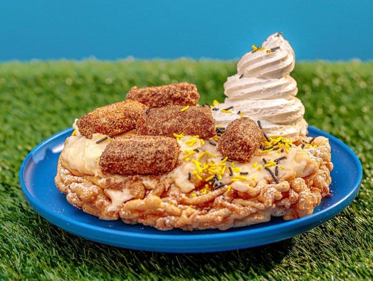 Churro Bite Funnel Cake - Knott's Log Ride Funnel Cakes