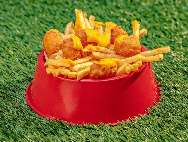 Crispy Corn Cheese Bites - Knott's Strictly on a Stick