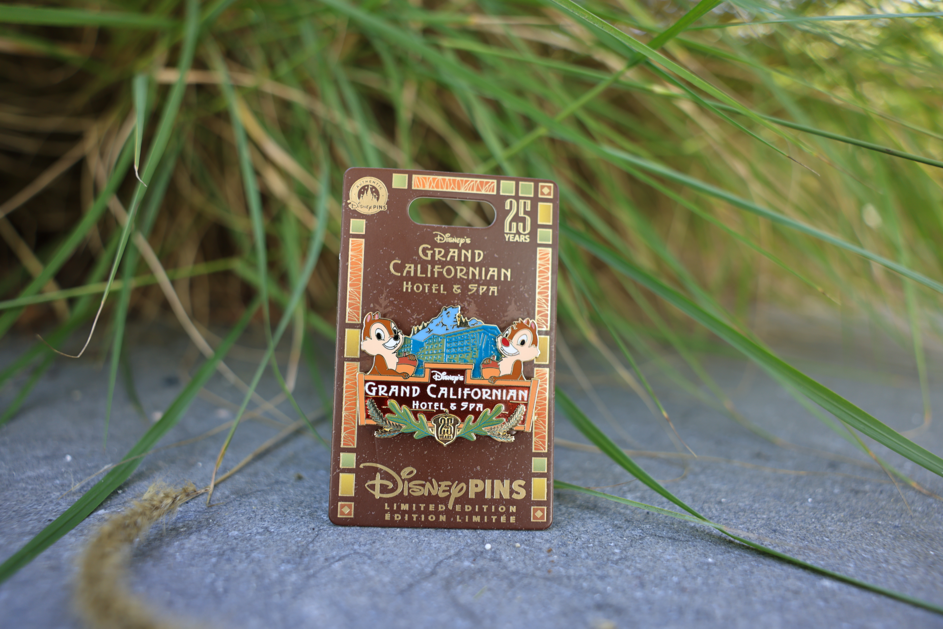 25th Anniversary Pin