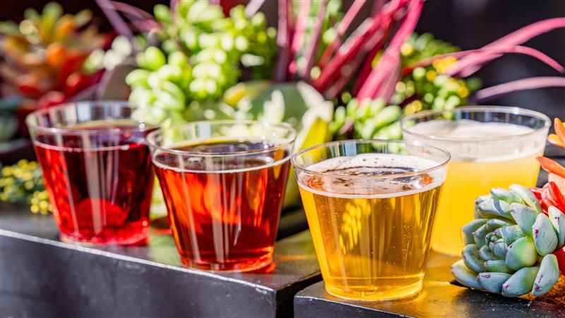 Paradise Beer Garden DCA Food & Wine Festival 2026