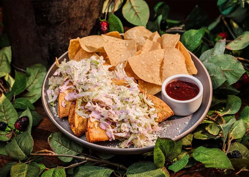 Knott's Boysenberry Festival 2026 Baja Taqueria