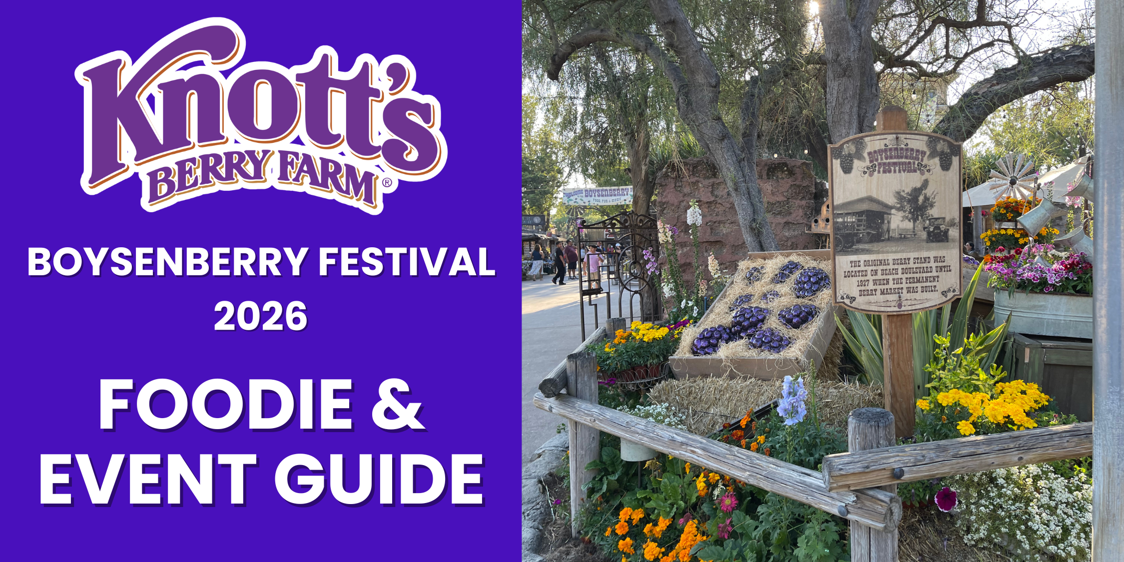 Knott's Berry Farm Boysenberry Festival 2026 Foodie & Event Guide