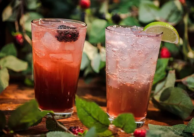 Knott's Boysenberry Festival 2026 Calico Saloon