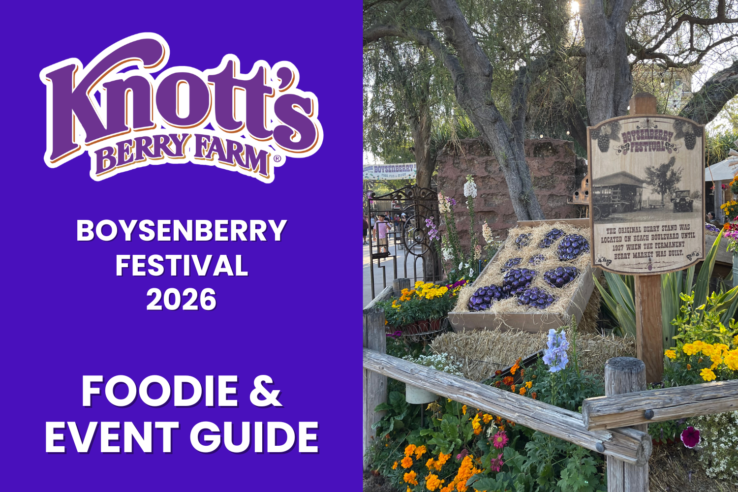Knott's Berry Farm Boysenberry Festival 2026 Foodie & Event Guide